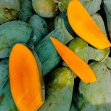 নাকফাজলি
